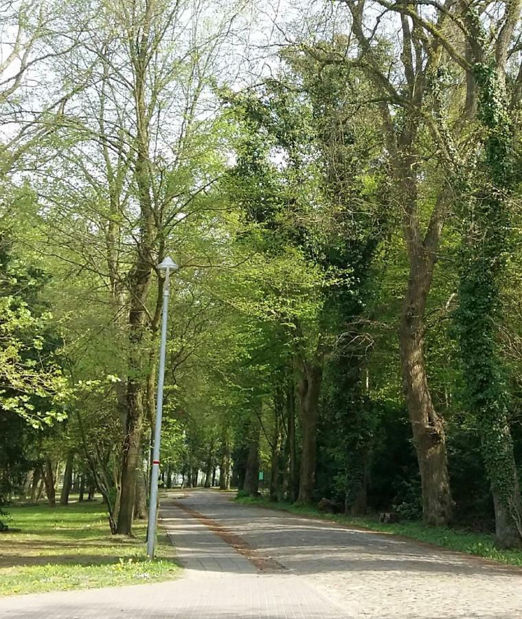Ferienwohnung "Am Schlosspark" Neetzow المظهر الخارجي الصورة