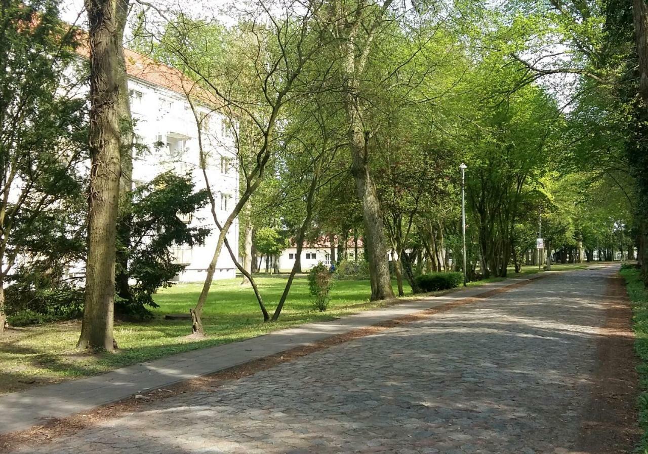 Ferienwohnung "Am Schlosspark" Neetzow المظهر الخارجي الصورة